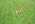 Latest_posts_thumb_avatar-abrad