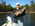 Latest_posts_thumb_avatar-alwayslearnin