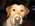 Latest_posts_thumb_avatar-iamreinvestor