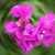 Comment_thumb_avatar-jackie1224