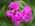 Latest_posts_thumb_avatar-jackie1224