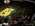 Latest_posts_thumb_avatar-candyrdz