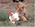 Latest_posts_thumb_avatar-tigerangel