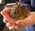 Latest_posts_thumb_avatar-gabriellec