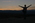 Latest_posts_thumb_avatar-tpcwww