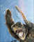 Colleague_thumb_avatar-reddoor