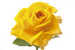 Colleague_thumb_avatar-letushelpyou
