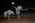 Latest_posts_thumb_avatar-aeg
