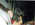 Latest_posts_thumb_avatar-janicemorze
