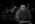 Latest_posts_thumb_avatar-gregrollett