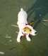 Forum_avatar_avatar-willgreen
