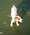 Latest_posts_thumb_avatar-willgreen