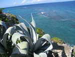 Profile_badge_avatar-beebolder