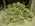 Latest_posts_thumb_avatar-baranonduty