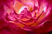 Colleague_thumb_avatar-realestate4sale
