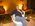 Latest_posts_thumb_avatar-zanes