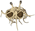 Latest_posts_thumb_avatar-clarityrei