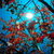 Comment_thumb_avatar-justmedjg