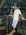 Latest_posts_thumb_avatar-keithcobb