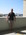 Latest_posts_thumb_avatar-mjcantrell
