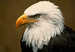 Colleague_thumb_avatar-fskick3