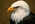 Latest_posts_thumb_avatar-fskick3