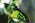 Latest_posts_thumb_avatar-jds777