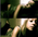 Latest_posts_thumb_avatar-khershey