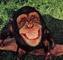 Colleague_thumb_avatar-goodmonkey
