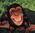 Latest_posts_thumb_avatar-goodmonkey