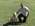 Latest_posts_thumb_avatar-thebanker17