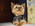 Latest_posts_thumb_avatar-cuda1