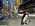 Latest_posts_thumb_avatar-swanca