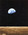 Latest_posts_thumb_avatar-dez_hollis