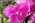 Latest_posts_thumb_avatar-denah