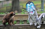 Profile_badge_avatar-mnormandin