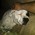 Latest_posts_thumb_avatar-jteringo