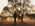 Latest_posts_thumb_avatar-tracey10