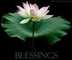 Colleague_thumb_avatar-maowholesaler