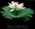 Latest_posts_thumb_avatar-maowholesaler