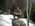 Latest_posts_thumb_avatar-nhdealweaver