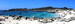 Colleague_thumb_avatar-freedomflea