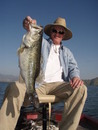 Profile_badge_avatar-sandiegoca