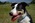Latest_posts_thumb_avatar-djpal15