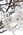 Latest_posts_thumb_avatar-gotpropertiesga