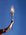 Latest_posts_thumb_avatar-jimwas21