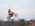 Latest_posts_thumb_avatar-gpirei