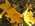 Latest_posts_thumb_avatar-peaceofmind