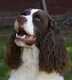 Forum_avatar_avatar-xander1944