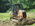 Latest_posts_thumb_avatar-staktime